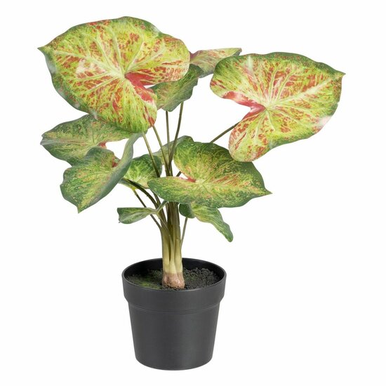 Decoratieve plant 48 x 46 x 55 cm Rood Groen PVC 1