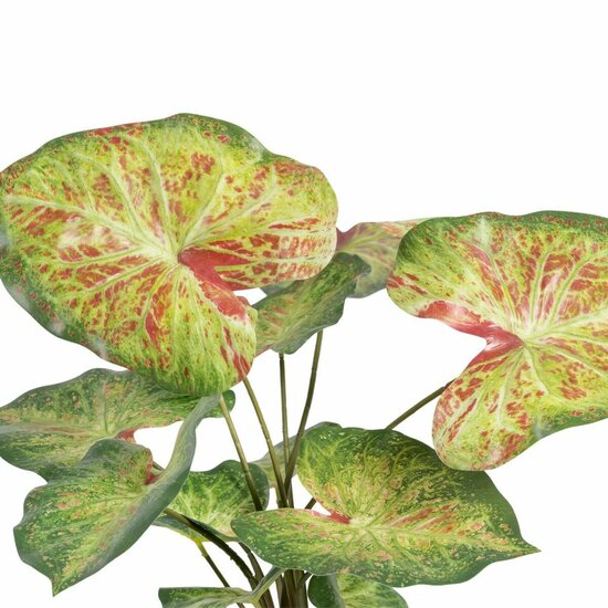 Decoratieve plant 48 x 46 x 55 cm Rood Groen PVC 3