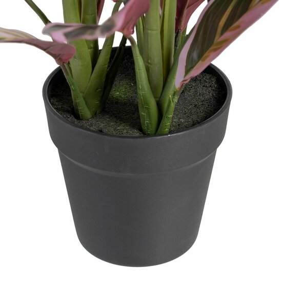 Decoratieve plant 44 x 39 x 48 cm Roze Groen PVC 4