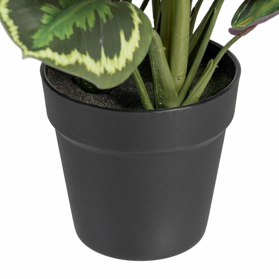 Decoratieve plant 37 x 37 x 41 cm Groen PVC 4