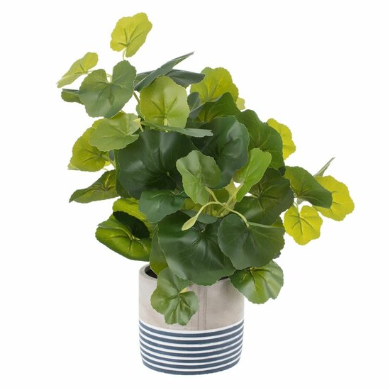 Decoratieve plant Cement PEVA Lakens 11,5 x 11,5 x 39 cm 1