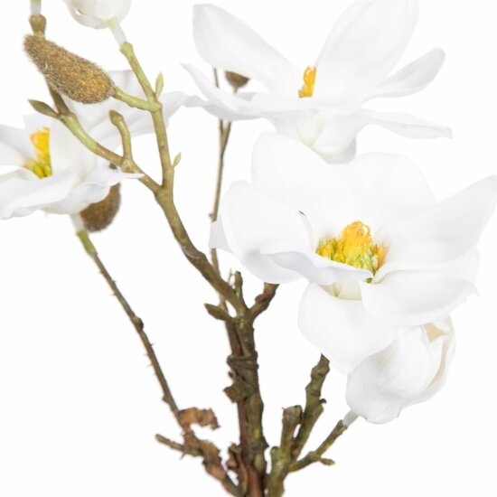 Decoratieve plant Polyester Polyethyleen Ijzer 22 x 22 x 38 cm Magnolia 2