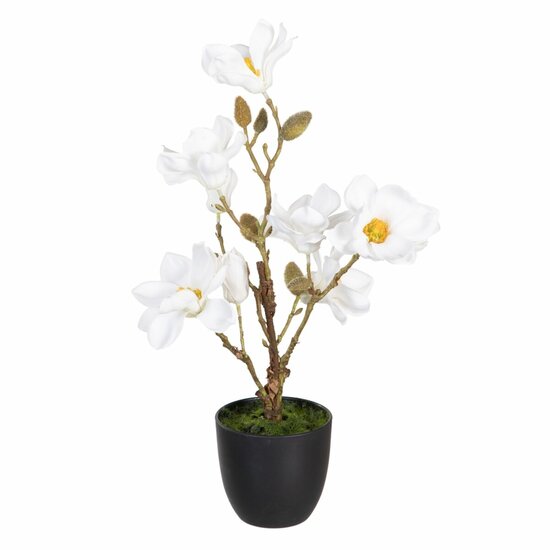 Decoratieve plant Polyester Polyethyleen Ijzer 25 x 25 x 49 cm Magnolia 1