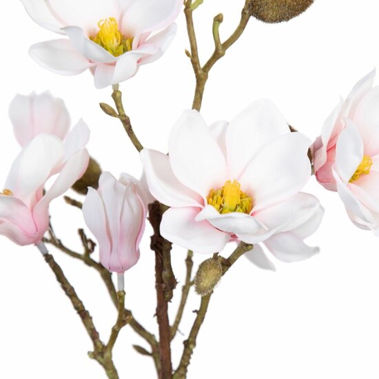 Decoratieve plant Polyester Polyethyleen Ijzer 25 x 25 x 49 cm Magnolia 2