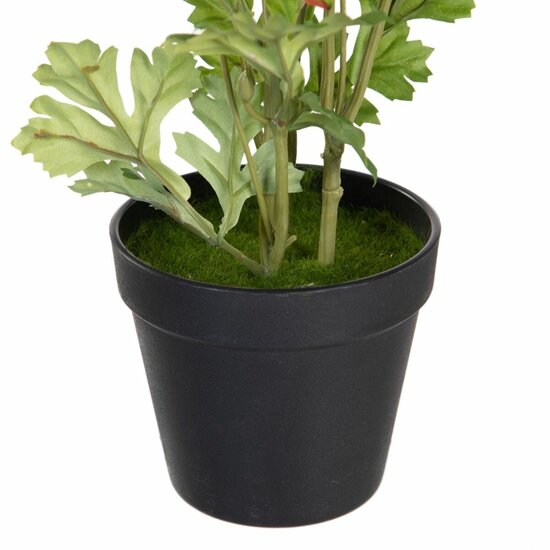 Decoratieve plant Polyester Polyethyleen Ijzer Bloem 12,5 x 12,5 x 37 cm 4