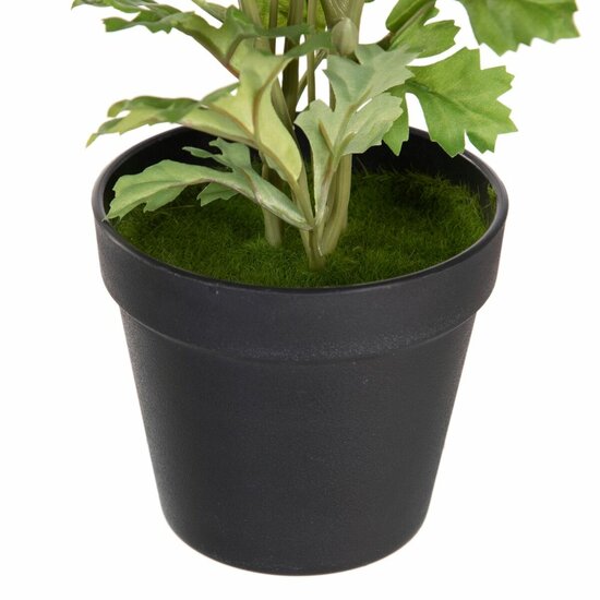 Decoratieve plant Polyester Polyethyleen Ijzer Bloem 12,5 x 12,5 x 37 cm 3