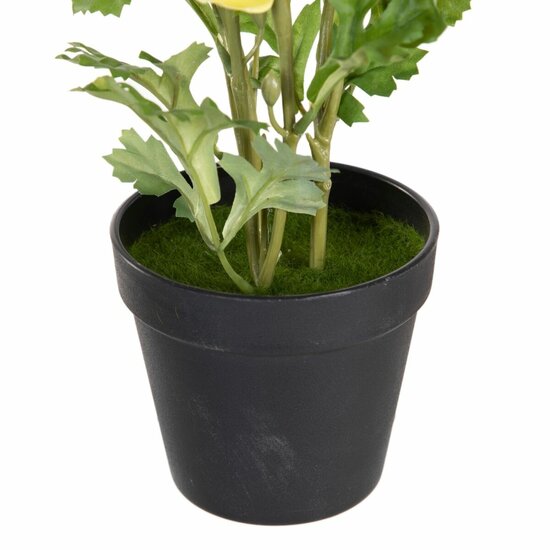 Decoratieve plant Polyester Polyethyleen Ijzer Bloem 12,5 x 12,5 x 37 cm 3