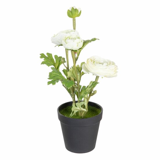 Decoratieve plant Polyester Polyethyleen Ijzer Bloem 11 x 11 x 36 cm 1