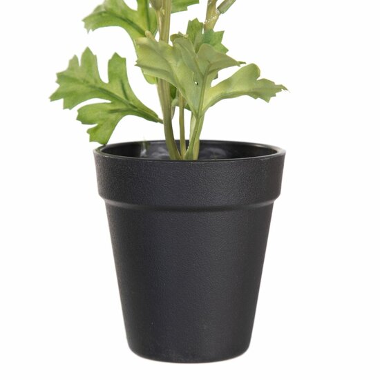 Decoratieve plant Polyester Polyethyleen Ijzer Bloem 9,5 x 9,5 x 29 cm 3