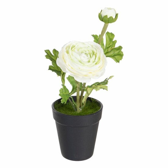 Decoratieve plant Polyester Polyethyleen Ijzer Bloem 9,5 x 9,5 x 29 cm 1