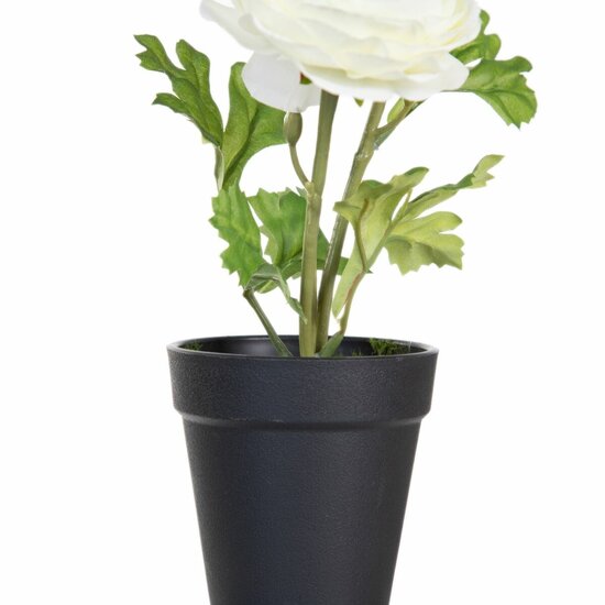 Decoratieve plant Polyester Polyethyleen Ijzer Bloem 9,5 x 9,5 x 29 cm 3