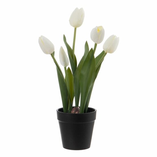 Decoratieve plant Polyester Polyethyleen Ijzer 11 x 11 x 31 cm 1