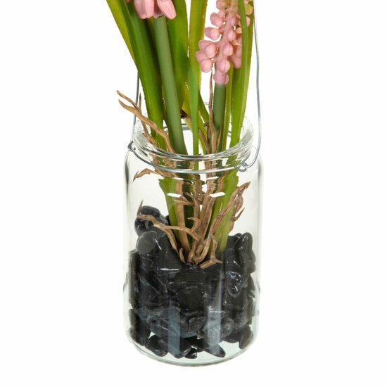 Decoratieve plant Polyester Polyethyleen Ijzer 7 x 7 x 18 cm 2