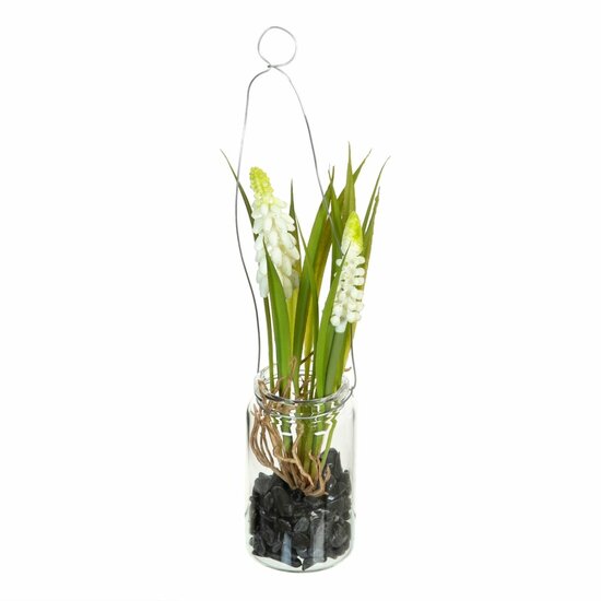 Decoratieve plant Polyester Polyethyleen Ijzer 7 x 7 x 18 cm 1