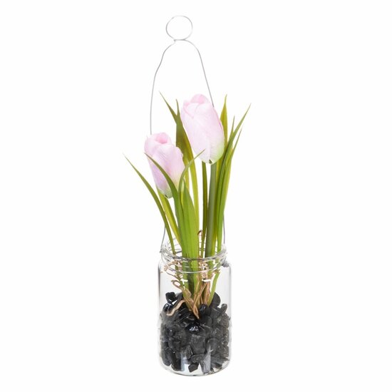 Decoratieve plant Polyester Polyethyleen Ijzer 7 x 7 x 18 cm 1