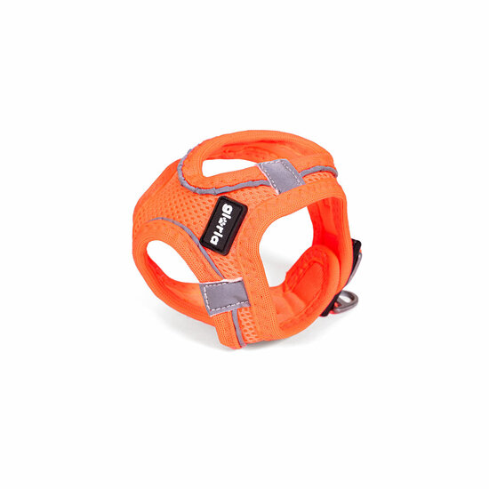 Hondentuigje Gloria Trek Star 24-26 cm 28-28,6 cm Oranje XXS 6