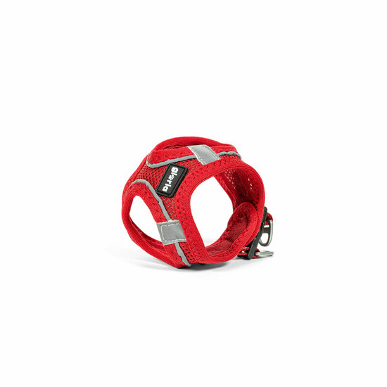 Hondentuigje Gloria Trek Star 24-26 cm 28-28,6 cm Rood XXS 1