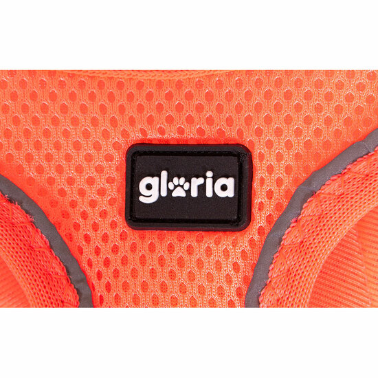 Hondentuigje Gloria Trek Star 27-28 cm 31-34,6 cm Oranje XS 2