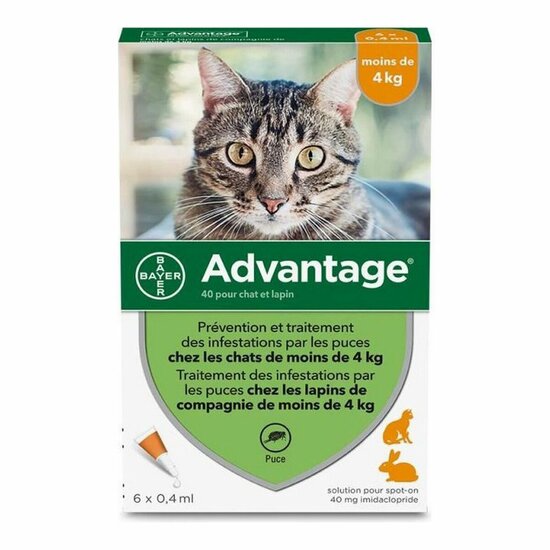 Middel tegen parasieten Advantage 0,4 ml Kat Konijn 1-4 Kg 6 Stuks 1