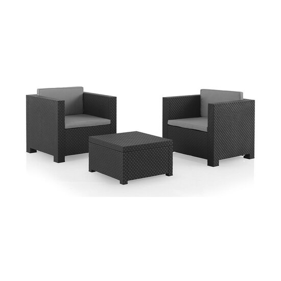 Tafelset met 2 fauteuils SP Berner Diva tete grafit 1