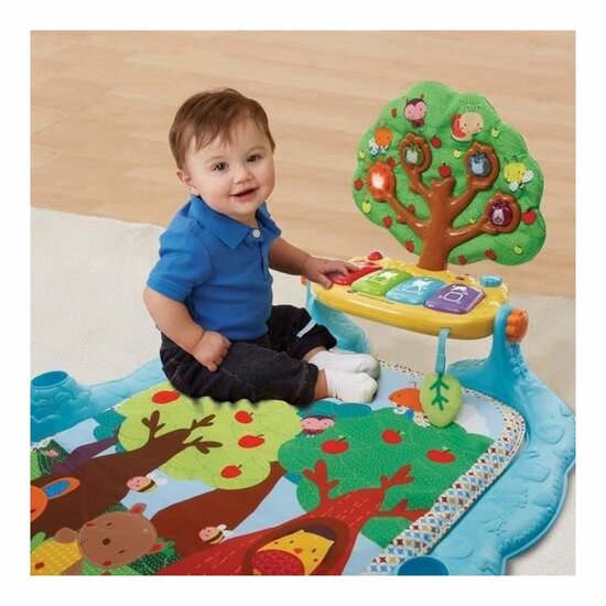 Speelkleed Vtech Baby 80-190605 Karton Plastic 1 Onderdelen 2