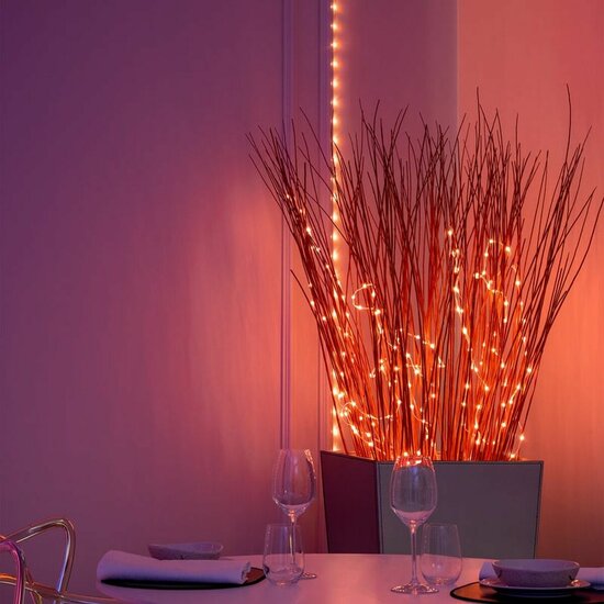 LED lichtsnoer Twinkly TWD200STP-TEU Zwart Multicolour G 6