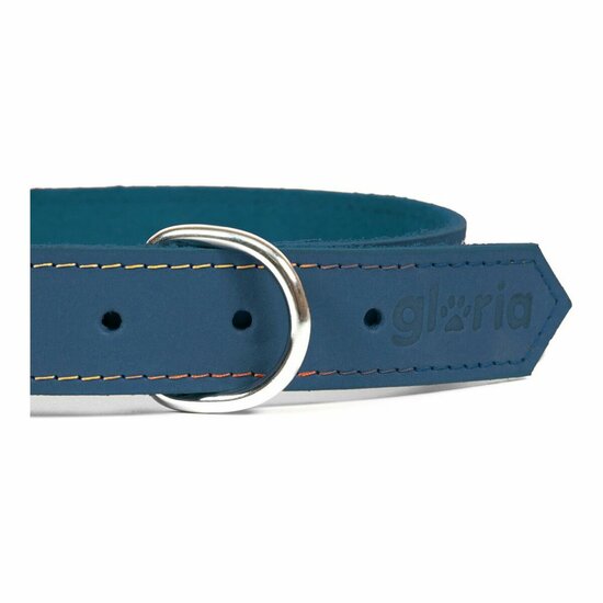 Hondenhalsband Gloria Oasis Blauw (1,2 x 35 cm) 3