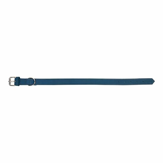 Hondenhalsband Gloria Oasis Blauw (1,2 x 35 cm) 6