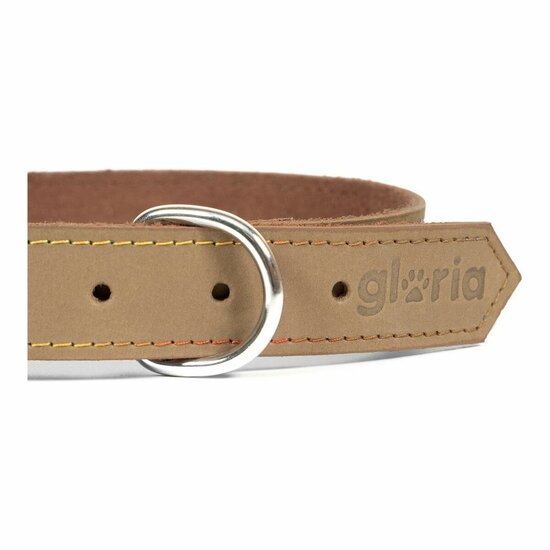 Hondenhalsband Gloria Oasis Beige (1,2 x 35 cm) 5