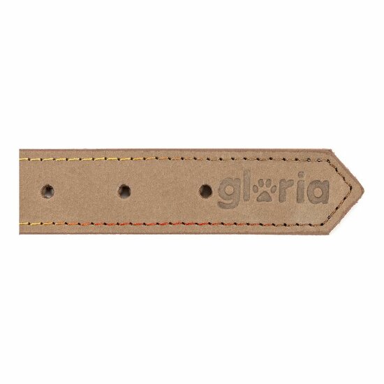 Hondenhalsband Gloria Oasis Beige (1,2 x 35 cm) 6