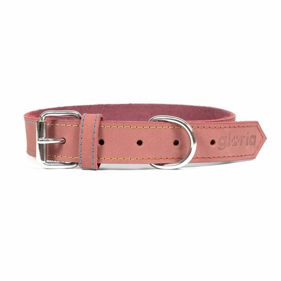 Hondenhalsband Gloria Oasis Roze (1,2 x 35 cm) 1