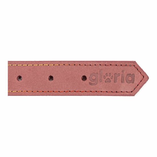 Hondenhalsband Gloria Oasis Roze (1,2 x 35 cm) 2