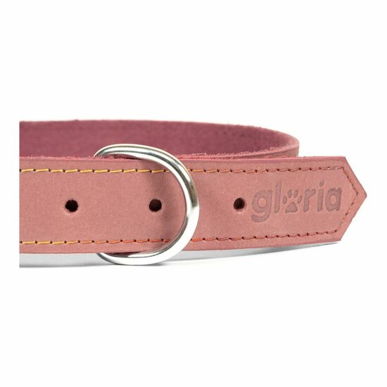 Hondenhalsband Gloria Oasis Roze (1,2 x 35 cm) 3