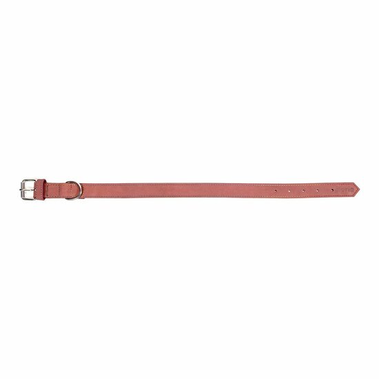 Hondenhalsband Gloria Oasis Roze (1,2 x 35 cm) 5