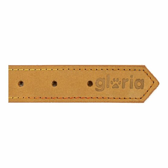 Hondenhalsband Gloria Oasis Geel (1,5 x 40 cm) 3