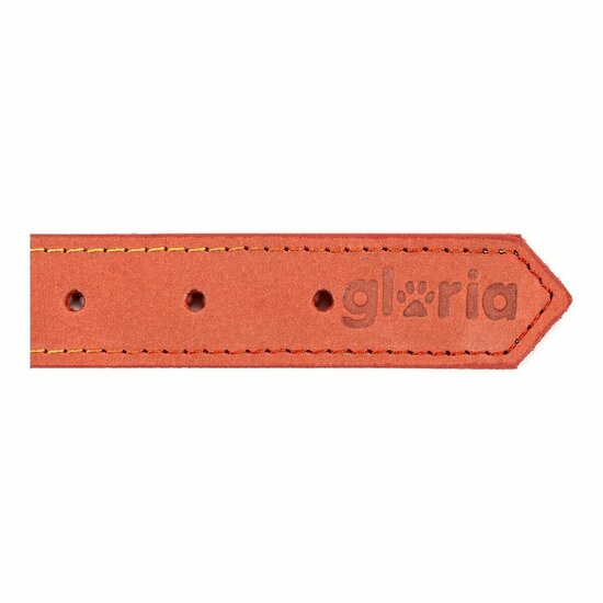 Hondenhalsband Gloria Oasis Rood (1,5 x 40 cm) 6