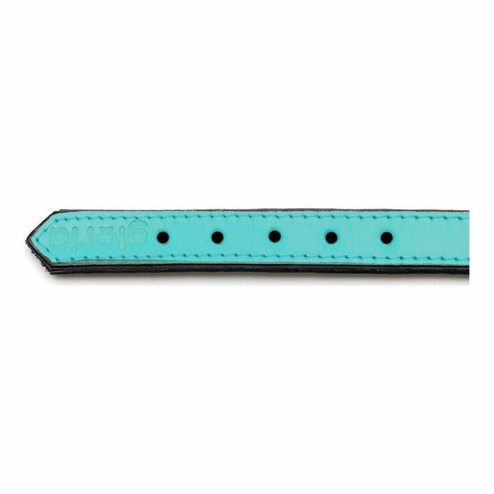 Hondenhalsband Gloria Gestoffeerd Turquoise 45 cm (45 x 2 cm) 2