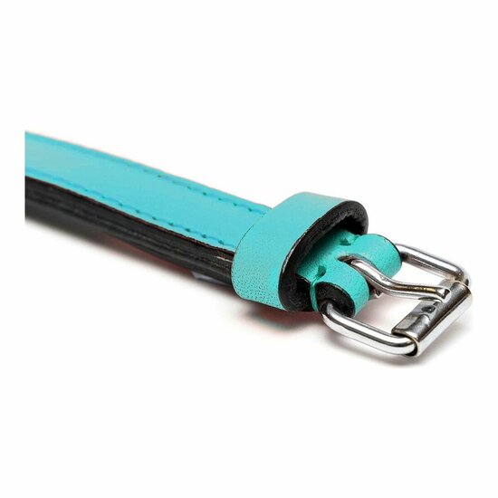 Hondenhalsband Gloria Gestoffeerd Turquoise 45 cm (45 x 2 cm) 5