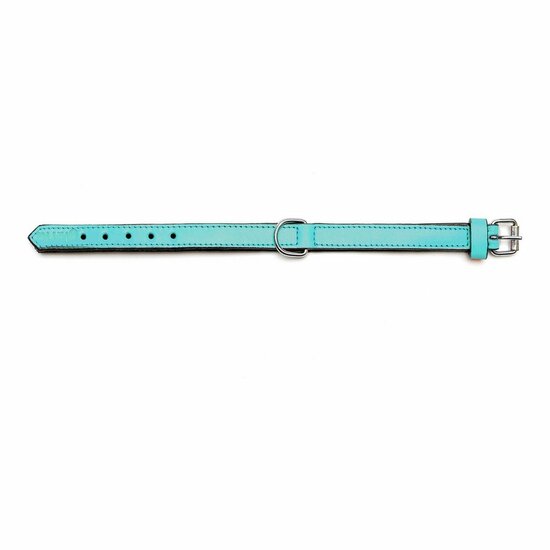 Hondenhalsband Gloria Gestoffeerd Turquoise 45 cm (45 x 2 cm) 7