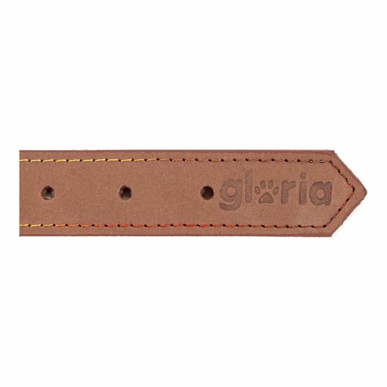 Hondenhalsband Gloria Oasis Bruin (40 x 1,5 cm) 6