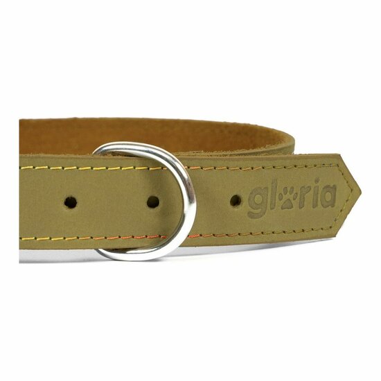 Hondenhalsband Gloria Oasis Groen (35 x 1,2 cm) 4