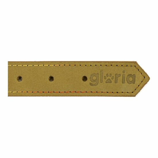 Hondenhalsband Gloria Oasis Groen (35 x 1,2 cm) 6