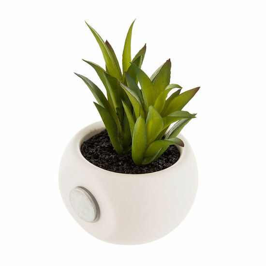 Decoratieve plant Atmosphera Magneet Groen PVC 1