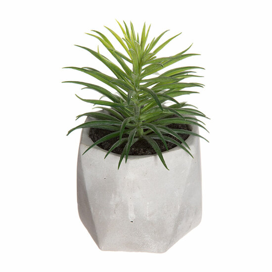 Decoratieve plant Atmosphera 7 x 14 cm Groen PVC 1