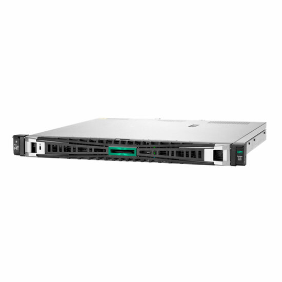 Server HPE DL20 GEN11 16 GB RAM 1