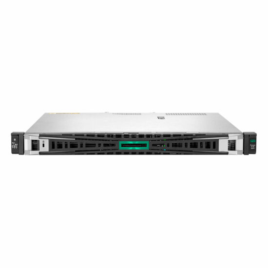 Server HPE DL20 GEN11 16 GB RAM 2