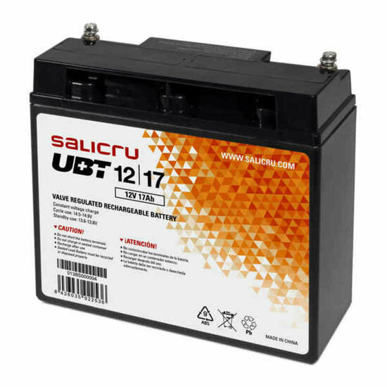 UPS SAI Salicru 013BS000004 12 V 1