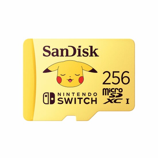 SD Geheugenkaart SanDisk SDSQXAO-256G-GN6ZK 1