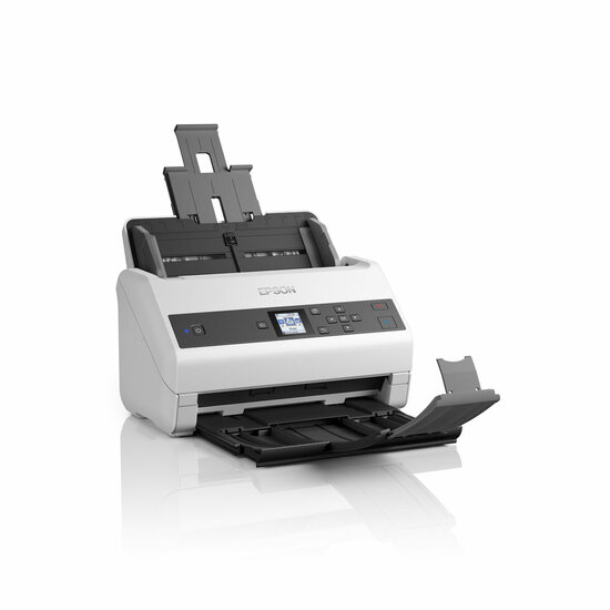 Scanner Epson B11B251401 3