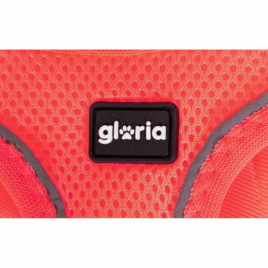 Hondentuigje Gloria Trek Star 27-28 cm 31-34,6 cm Roze XS 5